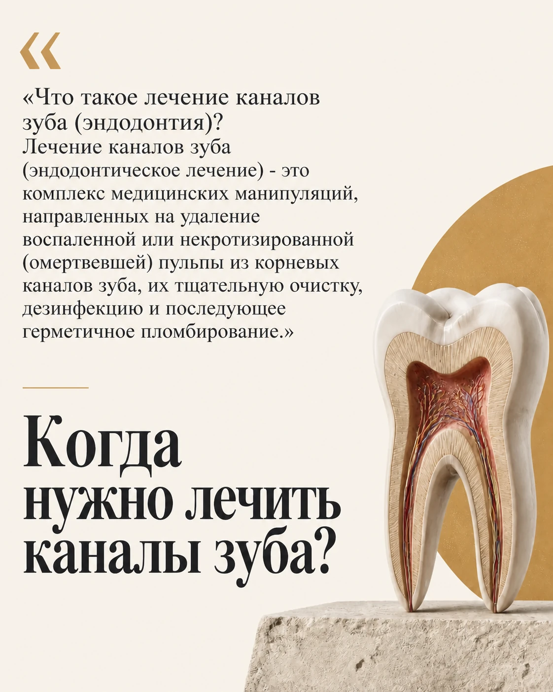 Обложка карусели о лечении каналов зуба